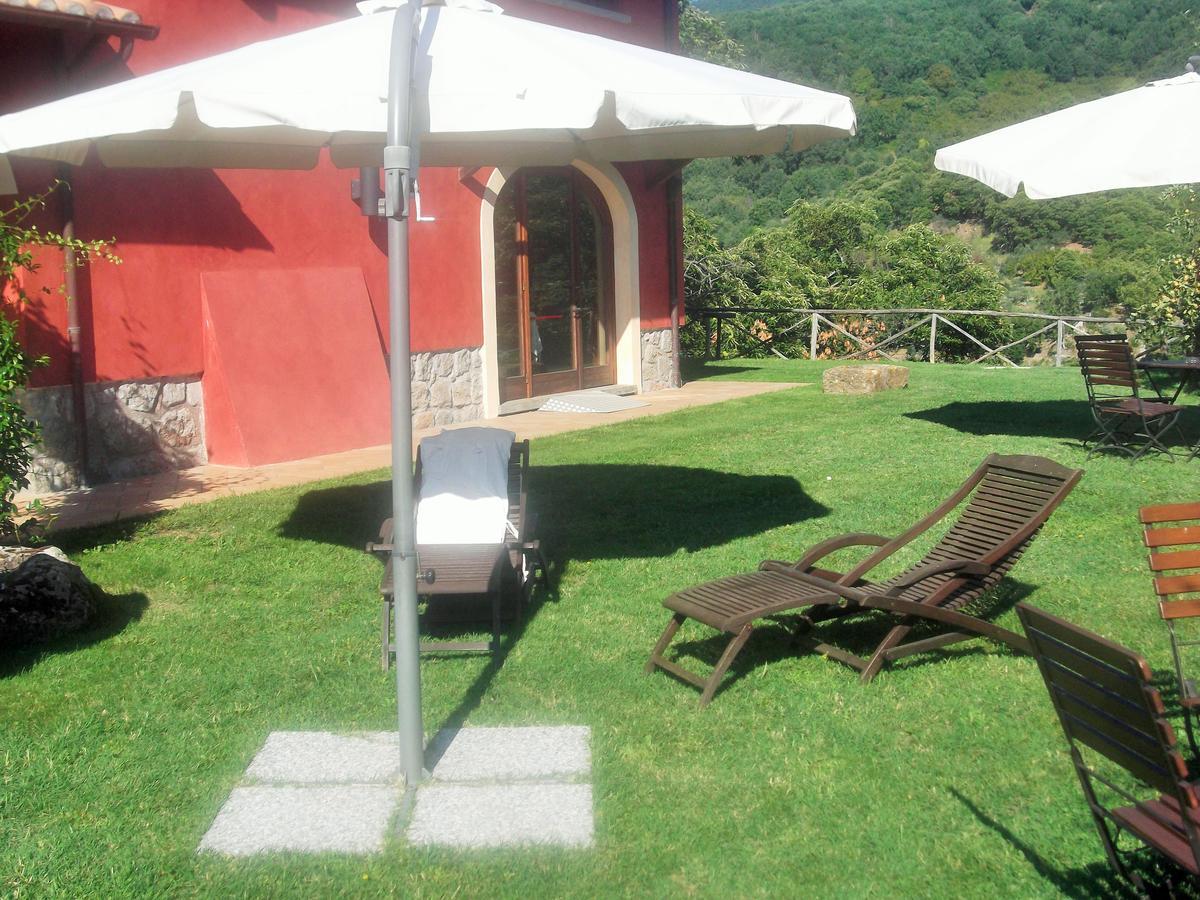 Agriturismo Casal Grande Canepina Dış mekan fotoğraf