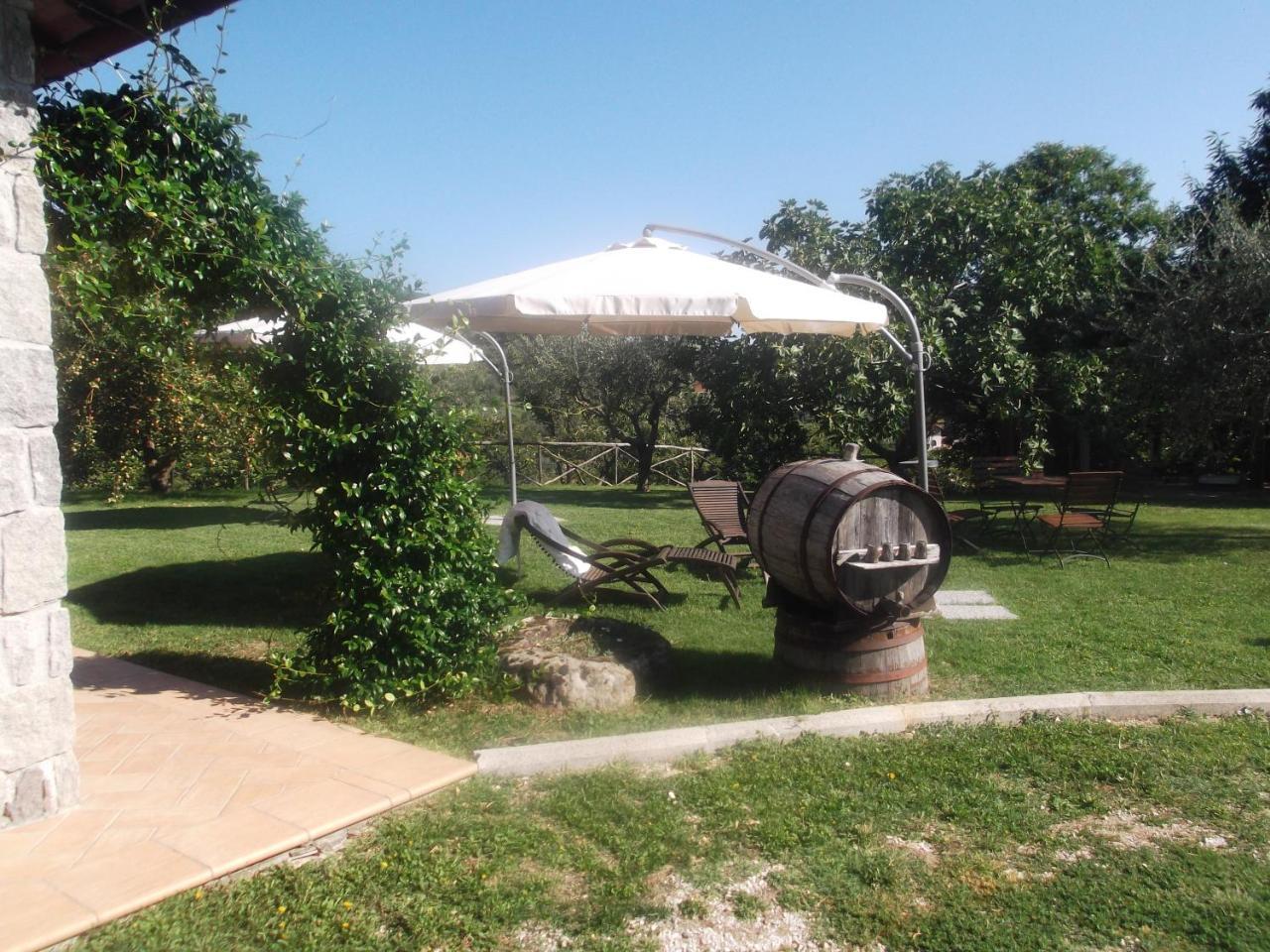 Agriturismo Casal Grande Canepina Dış mekan fotoğraf