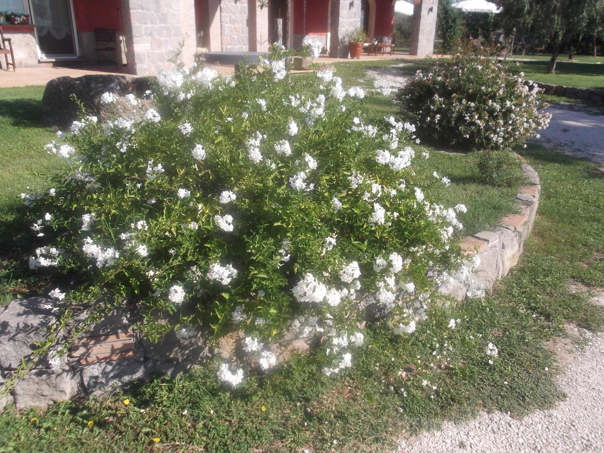 Agriturismo Casal Grande Canepina Dış mekan fotoğraf