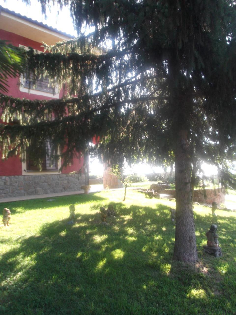 Agriturismo Casal Grande Canepina Dış mekan fotoğraf